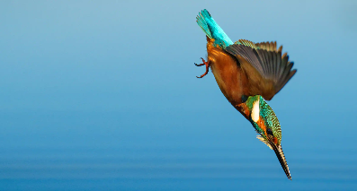Obiettivi per natura