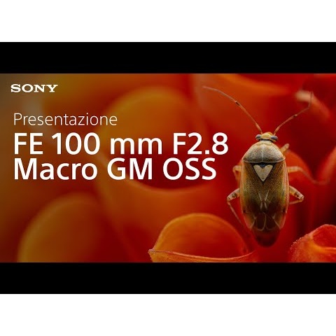 Ti presento il Sony FE 100 mm F2.8 Macro GM OSS | Obiettivo macro full frame